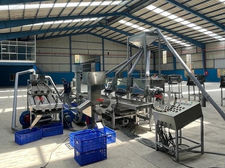 Automatic Cashew Cutting Line