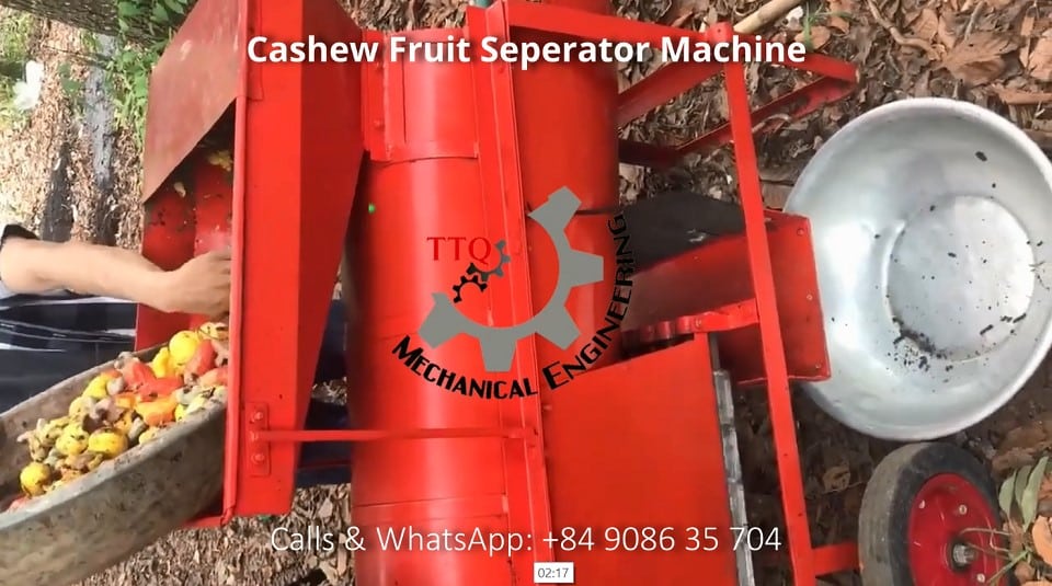 Cashew Fruit Separator Machine