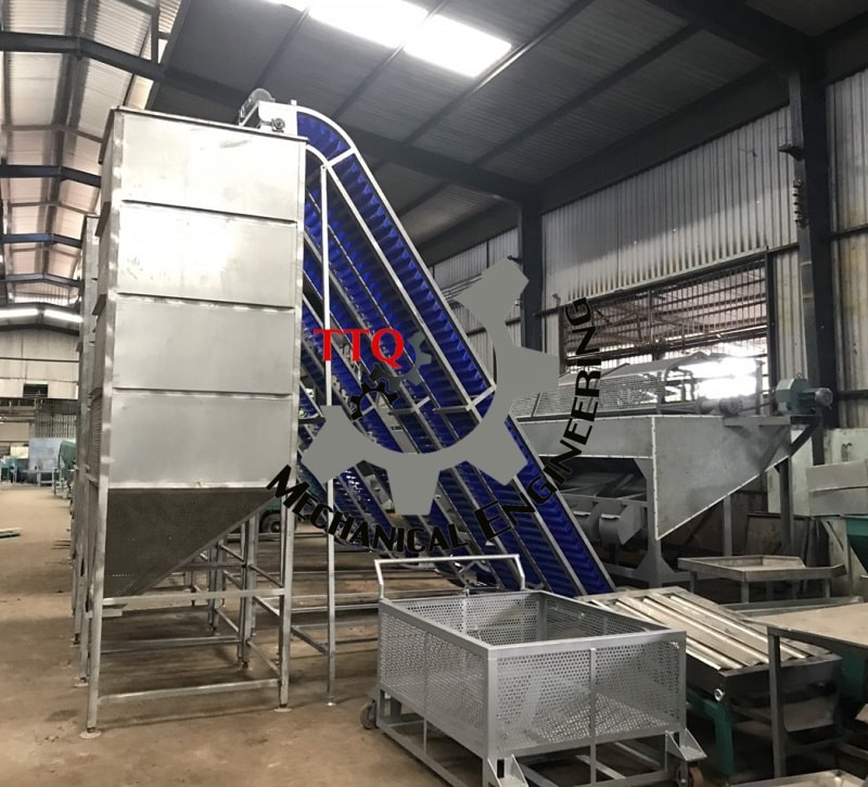 Cashew Nut Sorting Machine