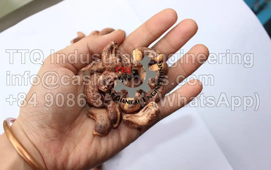 Cashew Roasting Machine