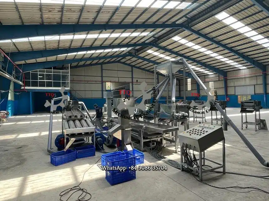 Cashew Scooping Machine | Automatic Kernel Separator