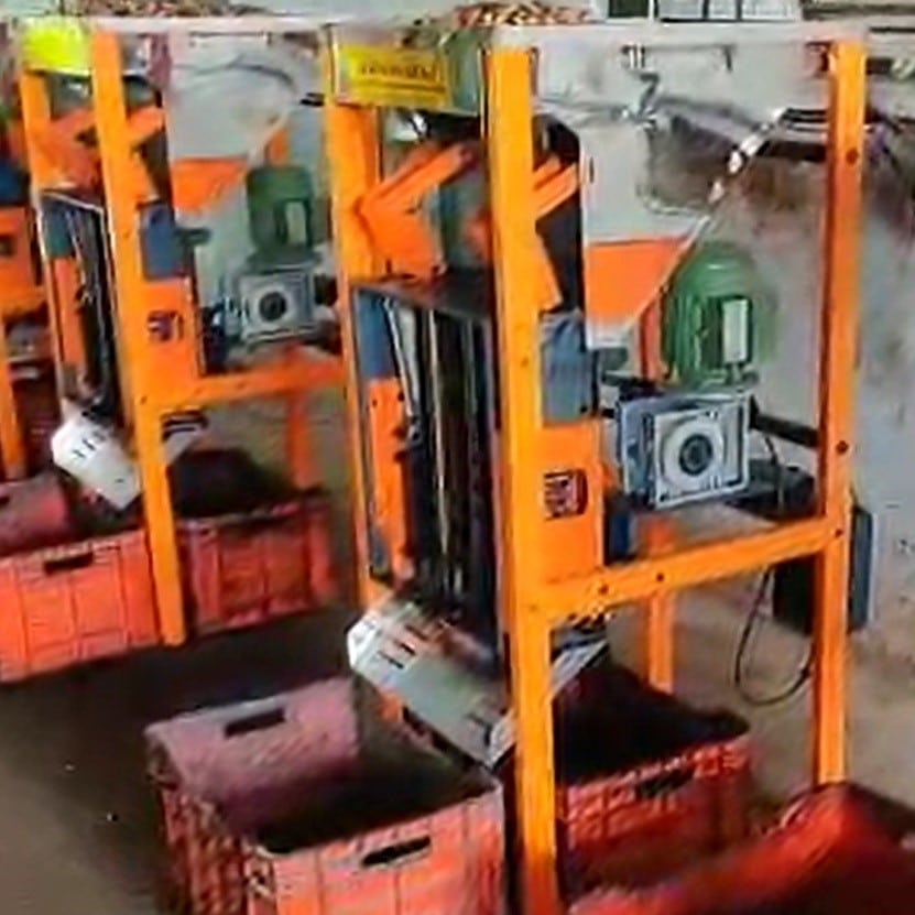 Small-Scale Cashew Nut Processing Machine & Mini Plant