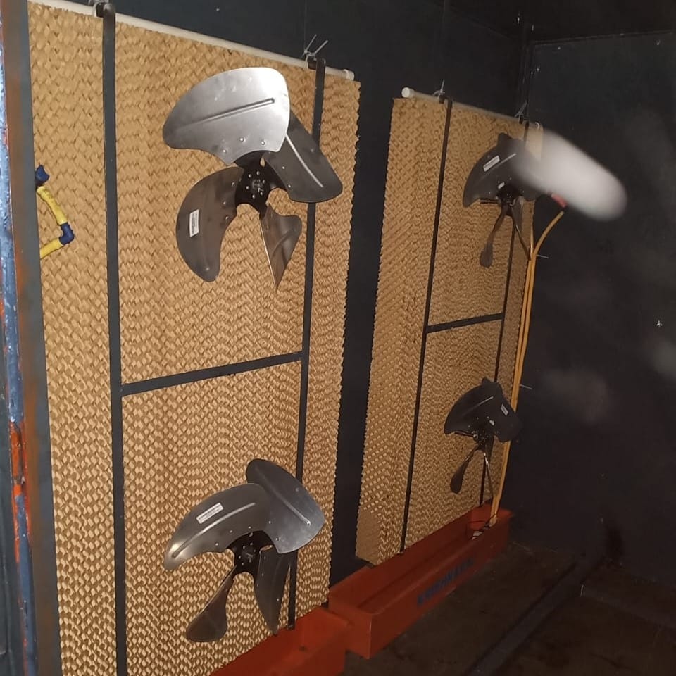 Small-Scale Cashew Nut Processing Machine & Mini Plant