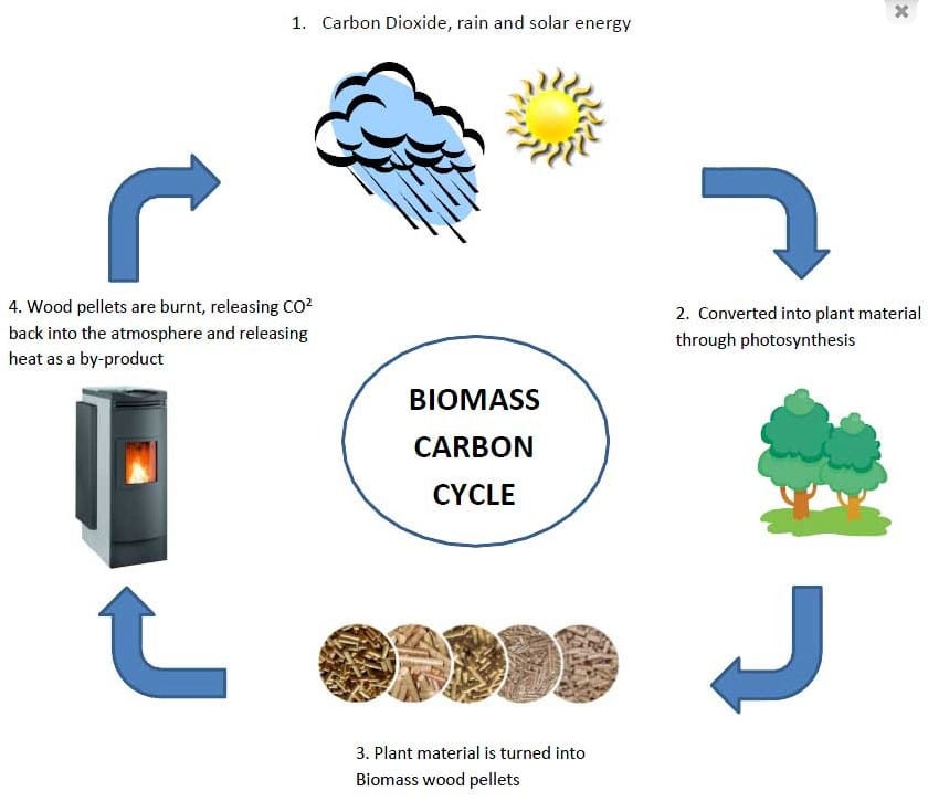 Biomass Boiler Costs with Wood Chip & Pellet