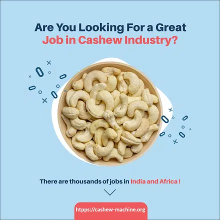 cashew factory job vacancy