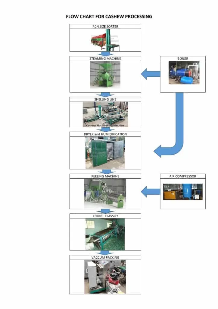 cashew manufacturing process