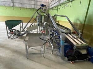cashew factory in Cambodia: automatic cashew shelling machine