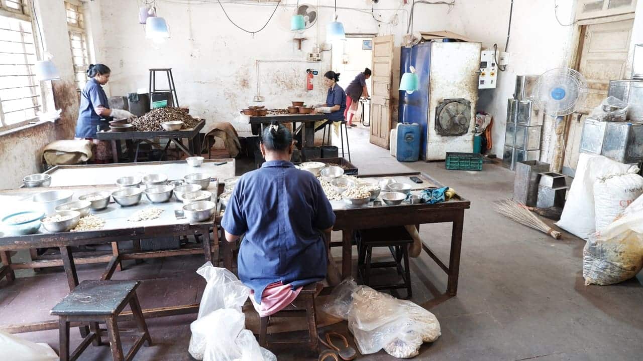 A cashew processing floor being assessed, with sorting tables and drying equipment